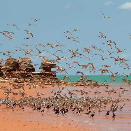 Broome Bird Observatory ภายนอก รูปภาพ