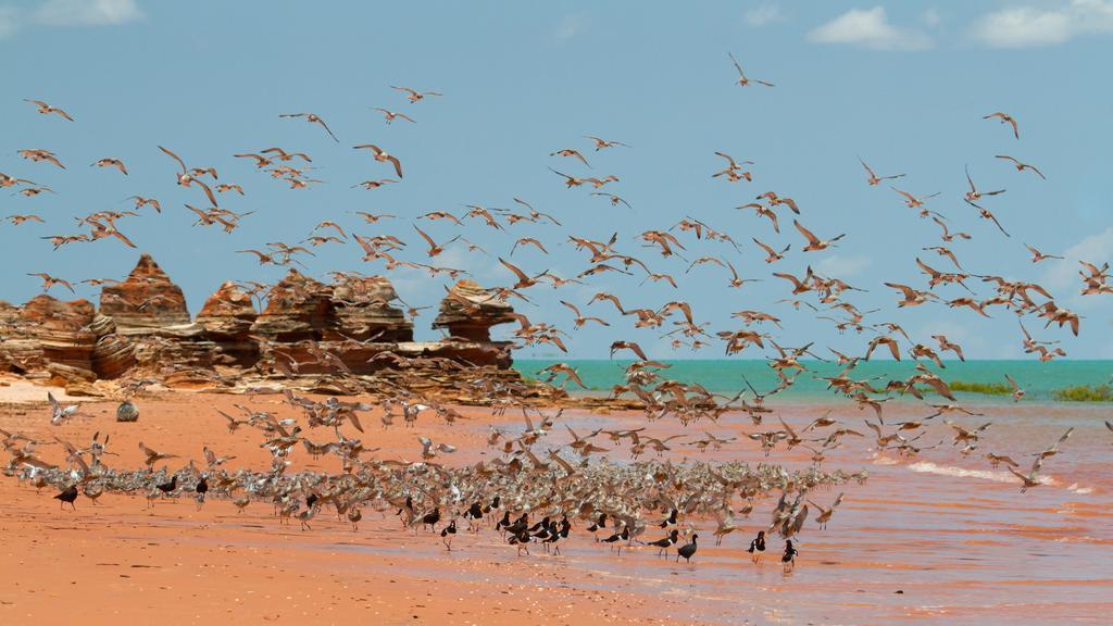Broome Bird Observatory ภายนอก รูปภาพ