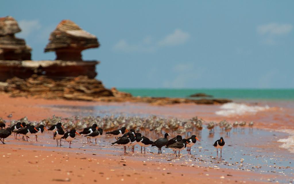 Broome Bird Observatory ภายนอก รูปภาพ